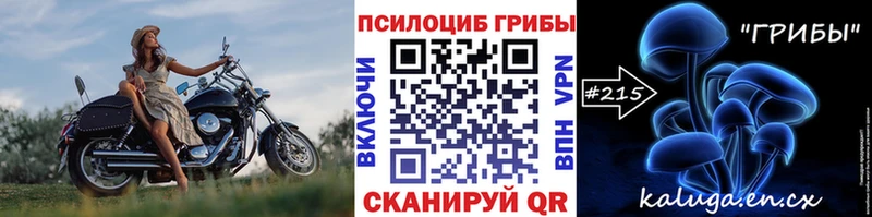 Псилоцибиновые грибы мицелий  Печоры 